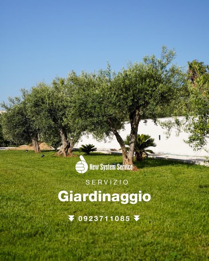 Siepi fuori controllo, prato trascurato o alberi da potare?
Con New
