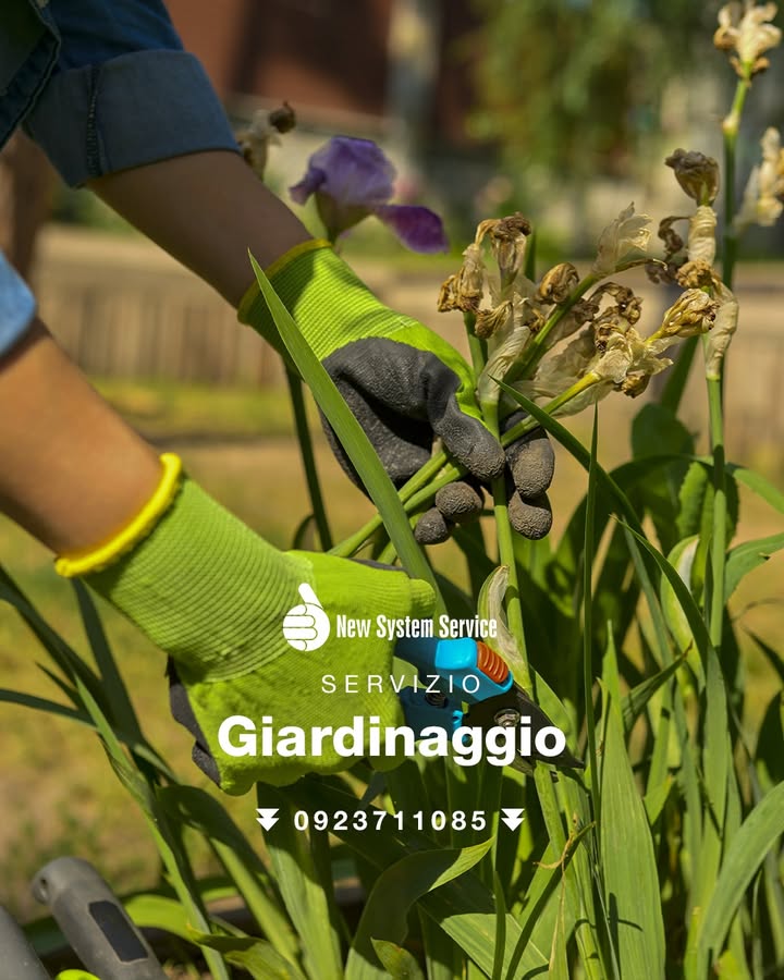 Ogni spazio verde ha bisogno delle giuste attenzioni 🌿
Dalla potatura